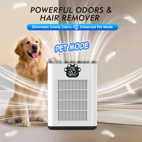 Image of DAYETTEAir Purifiers for Home Large Room Up to 3400 Ft with 2x H14 HEPA Filters, Double Air Inlet Air Cleaner with PM2.5 & TVOC Sensors, Pet Mode, Aromatherapy for Smoke Dust Pets Hair Odor, White