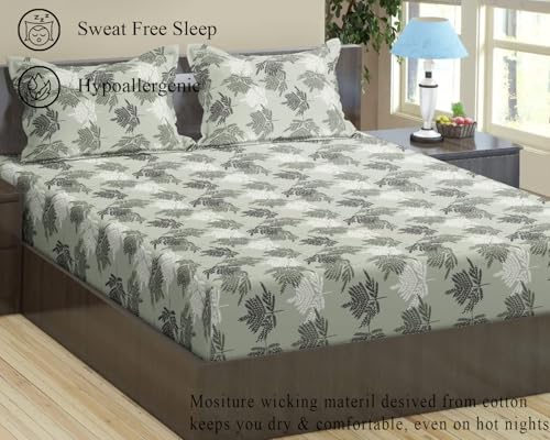 Image of Trance Home Linen Pure 100% Cotton 144TC Printed Single Fitted Bedsheet with 1 Pillow Cover (78 x 36 inch, Fern Paradise Green)