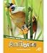 Anfibios (Amphibians), Guided Reading Level N (Los animales tambi?n tienen clases) (Spanish Edition)