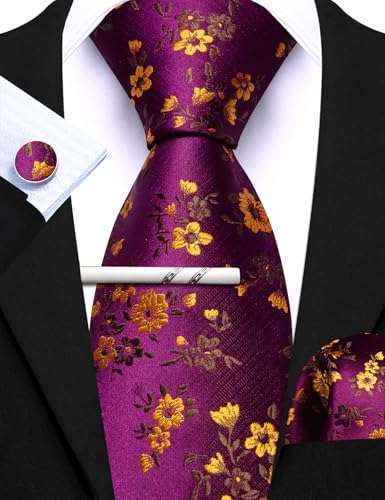 Image of Barry.Wang 6 PCS Men Ties Set Silk Business Fashion Woven Necktie Handkerchief Cufflinks Paisley Stripe Wedding Party