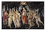 la primavera sandro botticelli analisis ARTE MURALE Social Crazy Stampa in Tela Canvas 100% QUALITà ITALIA - Botticelli - Primavera - effetto Dipinto Idea Regalo Casa quadro cucina stanza da letto soggiorno (40x60 cm)