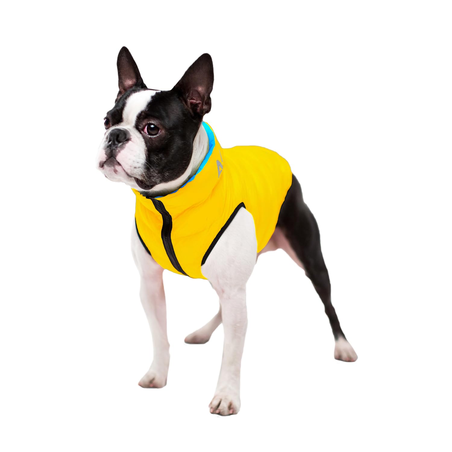 AiryVest - Giacca per cani con tasca, reversibile, impermeabile, antivento, giallo e blu, misura L: 65 x 89 x 65 cm