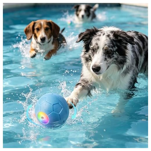 Intelligentes interaktives Hundespielzeug für drinnen