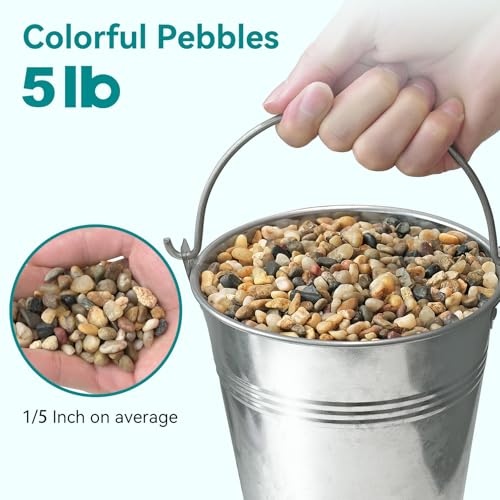 Image of 5 lbs Small Rocks for Plants, 1 /5 Inch Gravel for Plants Drainage | Decorative Potting Pebbles for Indoor Plants, Vases, Bamboo, Succulent, Terrarium, Crafts, Cactus