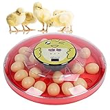 AYNEFY 30 Eier Inkubator Brutautomat Vollautomatisch Digitaler Brutmaschine Vollautomatische Drehung Brutgerät mit Automatischer Temperaturregelung Hatcher für Hühner Enten Gänse Vögel(30 Eier)