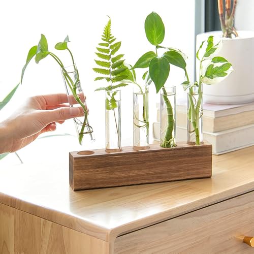 Station De Propagation, Vase en Verre pour Fleurs Terrarium, Hydroponie, Pot Planteur avec Support De Support en Bois pour Plantes Deau Verte Adapté pour La Maison Cuisine Tabl (5 Vases) – Image 5