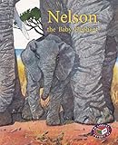 Nelson, the baby Elephant