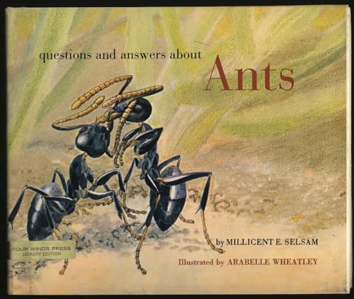 Questions and Answers About Ants [Unknown] B000JCFTPK Book Cover