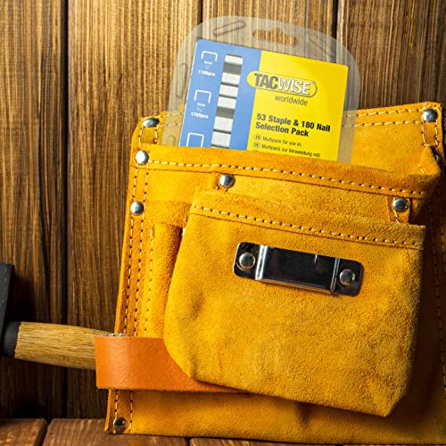 Tacwise 1628 Typ 53 Heftklammern in verschiedene Größen & Typ 180 (18G) / 10mm Nägeln, verzinkt, Packung mit 6.200 Heftklammern und 4.000 Nägeln