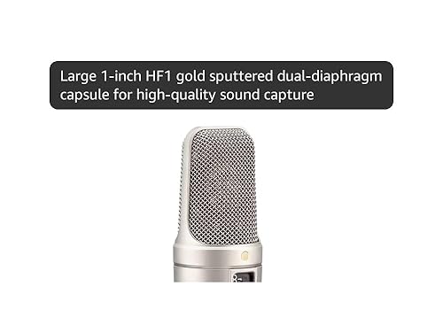 Amazon.com: Rode NT2A Anniversary Vocal Multi-Pattern Dual