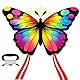 Drachen Kinder,Drachen Schmetterling,kinderdrachen ab 3,Butterfly Drachen flugdrachen Kinder mit 80m drachenschnur Spule,lenkdrachen geeignet für Strand,Park und Außenbezirker Children and Adults