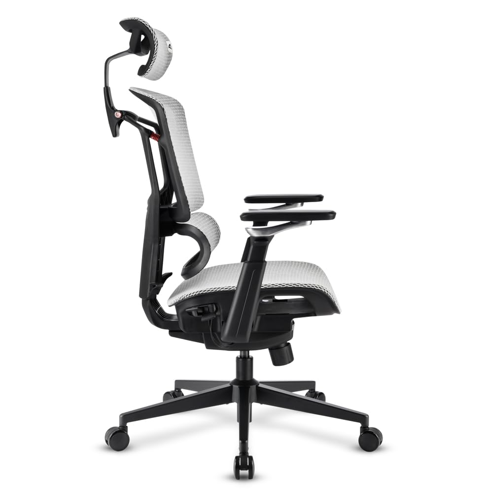 Sharkoon Officepal C50m B?rostuhl SchwarZ-Grau Gepolstert Netzr?ckenlehne 120 kg