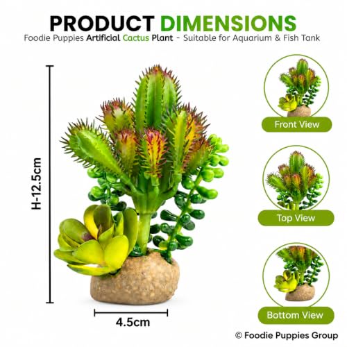 Image of Foodie Puppies Aquarium Plastic Plant with Resin Base - (Cactus Plant, 4.5 x 4 x 12.5 cm) for Fish Tank, Freshwater & Saltwater Natural Decor