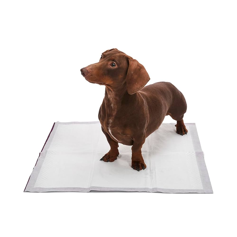 Bio-degradable Pad - Puppy Training Pads/pet Pad/dog Pad/eco-friendly Puppy Pads/bamboo Charcoal