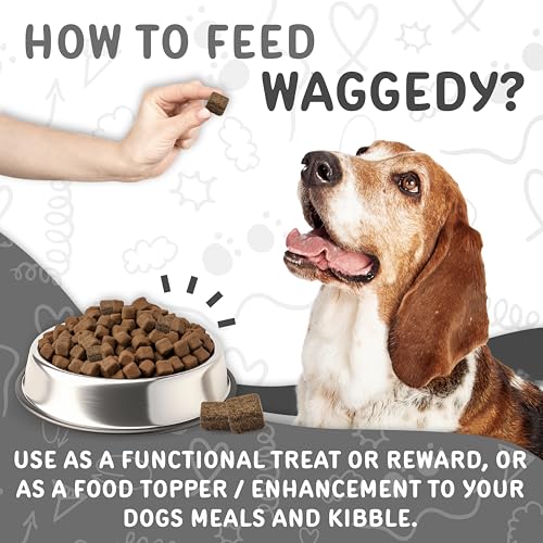 waggedy Daily Essentials Senior Soft Chews with Glucosamine — Pet Supplies for Digestion and Joint Health — Dog Multivitamin Treats for Overall Defense — Dog Vitamins and Supplements (60 Chews) - Image 6
