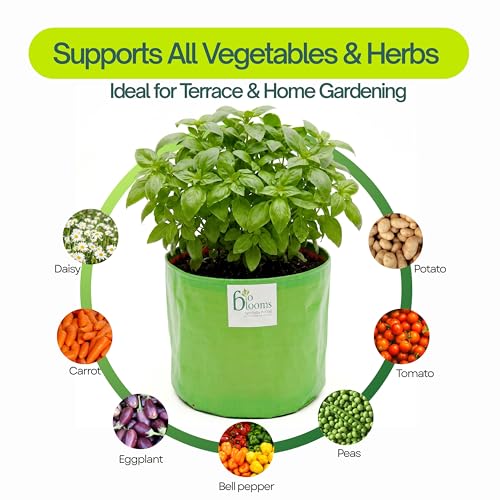 Image of Bio Blooms Round HDPE Plant Grow Bag for Terrace & Kitchen Gardening | Pack of 1 | 18x18 | 200 GSM Heavy Duty Outdoor Grow Bag | Durable Planter for Vegetables, Flowers & Plants | Green & Orange