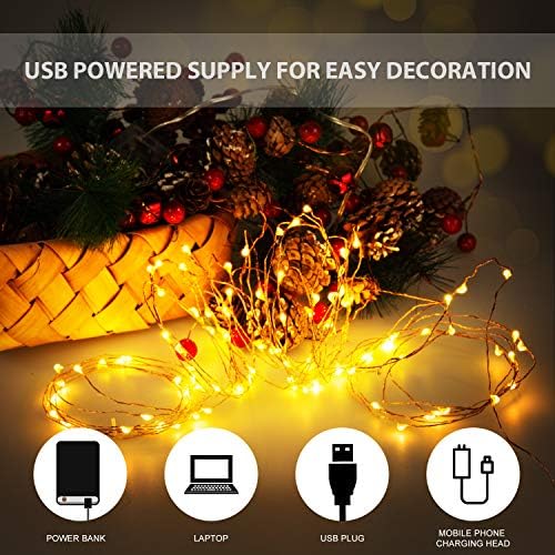 Fairy Lights USB, Ariceleo 5M 16 Ft. USB Powered Led Fairy Lights, 50 LEDs USB Plug in String Lights Firefly Lights for Bedroom, Chirstmas, Xmas, Computer (Warm White)