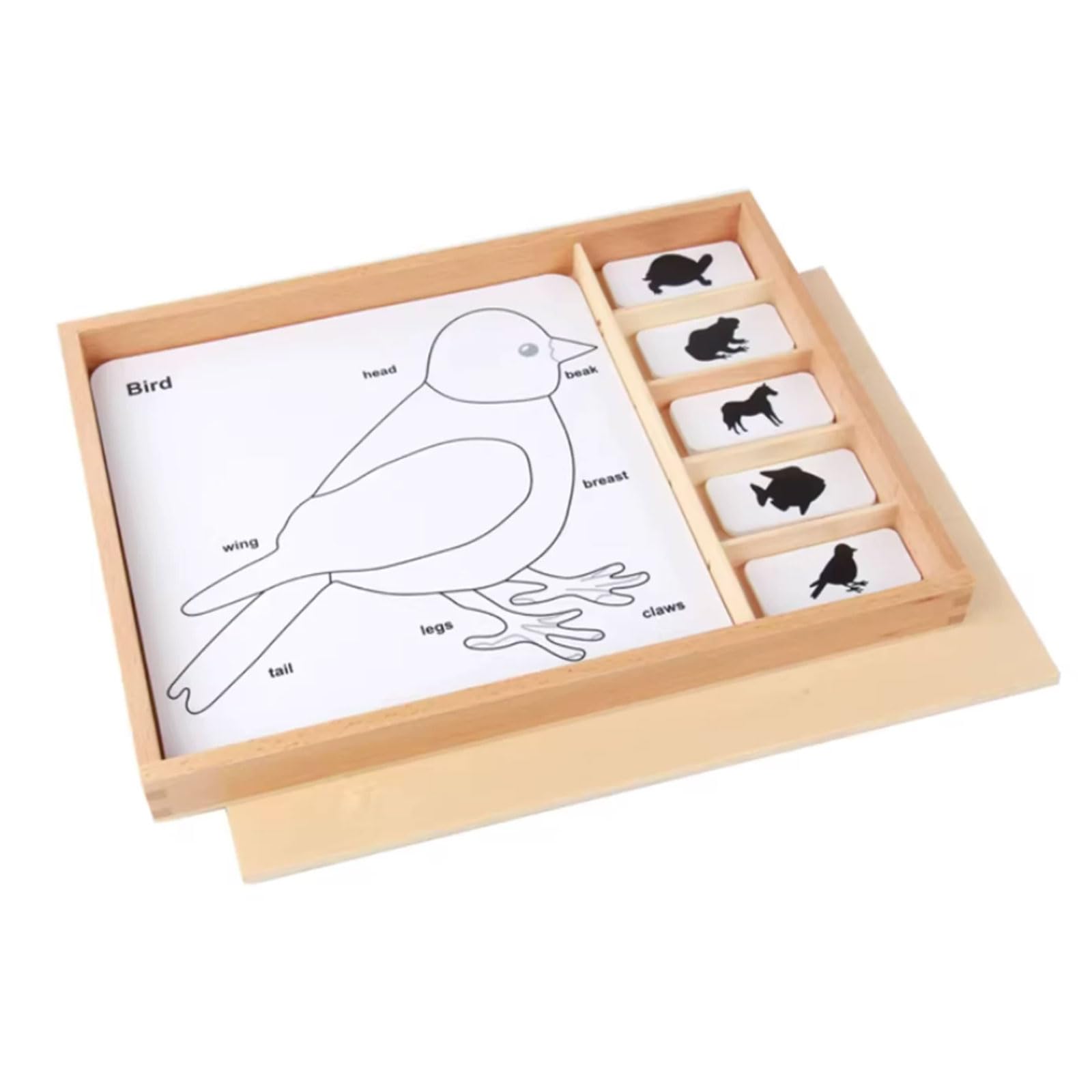 Carte Montessori a 3 Parti con Vassoio di Legno per Ordinamento | Carte Nomenclatura Animali e Piante, Materiale Linguistico Biologia, Giocattolo Educativo Classificazione Scientifica