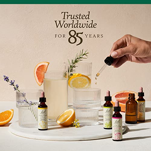 Bach Original Flower Remedies, Holly For Goodwill Towards Others (Non-Alcohol Formula), Natural Homeopathic Flower Essence, Holistic Wellness And Stress Relief, Vegan, 10Ml Dropper #TOP24