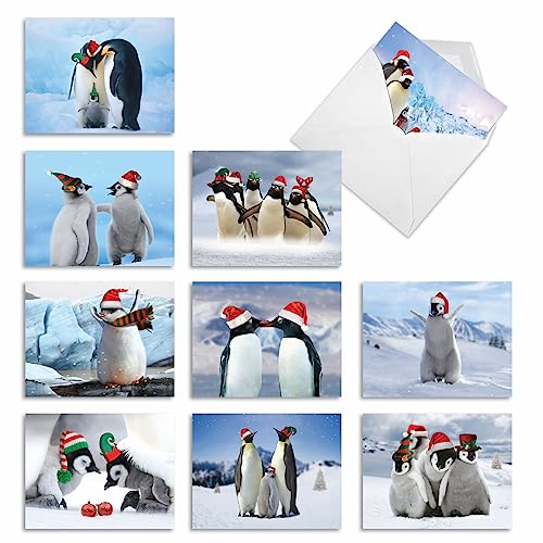 Image of The Best Card Company - 10 Blank Animal Christmas Note Cards - Assorted Bulk Holiday Cards for Men and Women, Fun Wildlife (4 x 5.12 Inch) - Penguins and Greetings M2951XSB