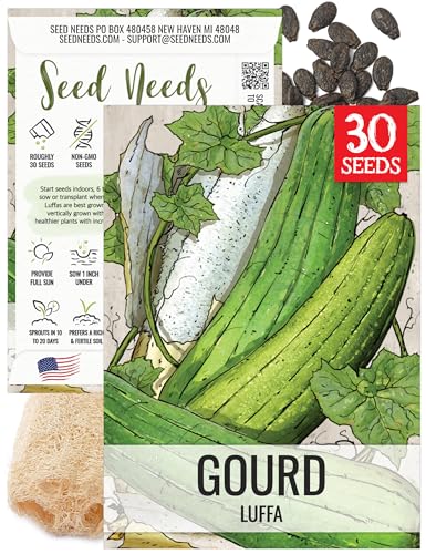 Seed Needs Luffa Seeds for Planting Loofah Sponge Gourd Heirloom 1 Pack