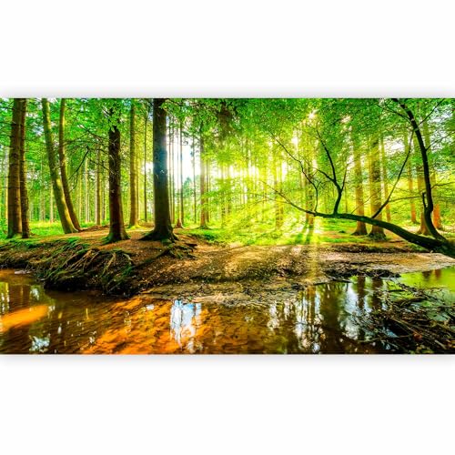 murando Carta da parati Foresta Verde 500x280 cm Fotomurali in TNT Murale alla moda Decorazione da Muro XXL Poster Gigante Design Carta per pareti Natura Albero verde Paesaggio Sole c-B-0241-a-b