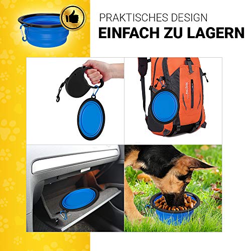 Is Dish Soap Safe For Dog Bowls