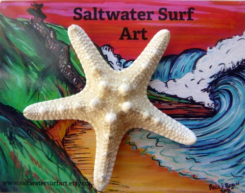 Hand Made Starfish Barrette