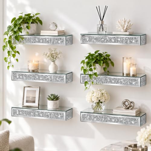 SHYFOY Mirrored Shelves Set of 6