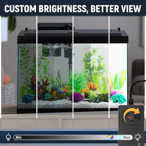 Image of LED Aquarium Hood, White Lights, Fits 24 inch Framed Aquariums, Black