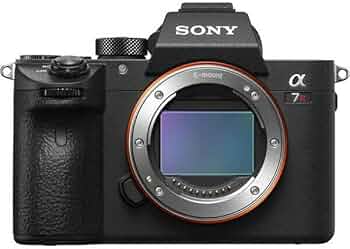 のもさん専用SONY α7RIII ミラーレス一眼カメラ 本体のみ　難あり 51GblEC-sJL._AC_UF350,