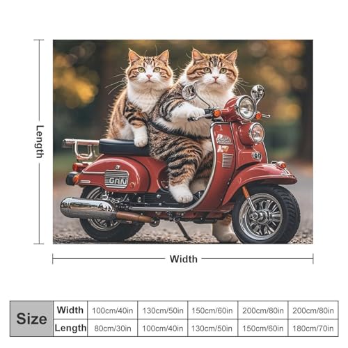 Couverture plaid micro polaire chat moto cadeau idéal pour lit - 3