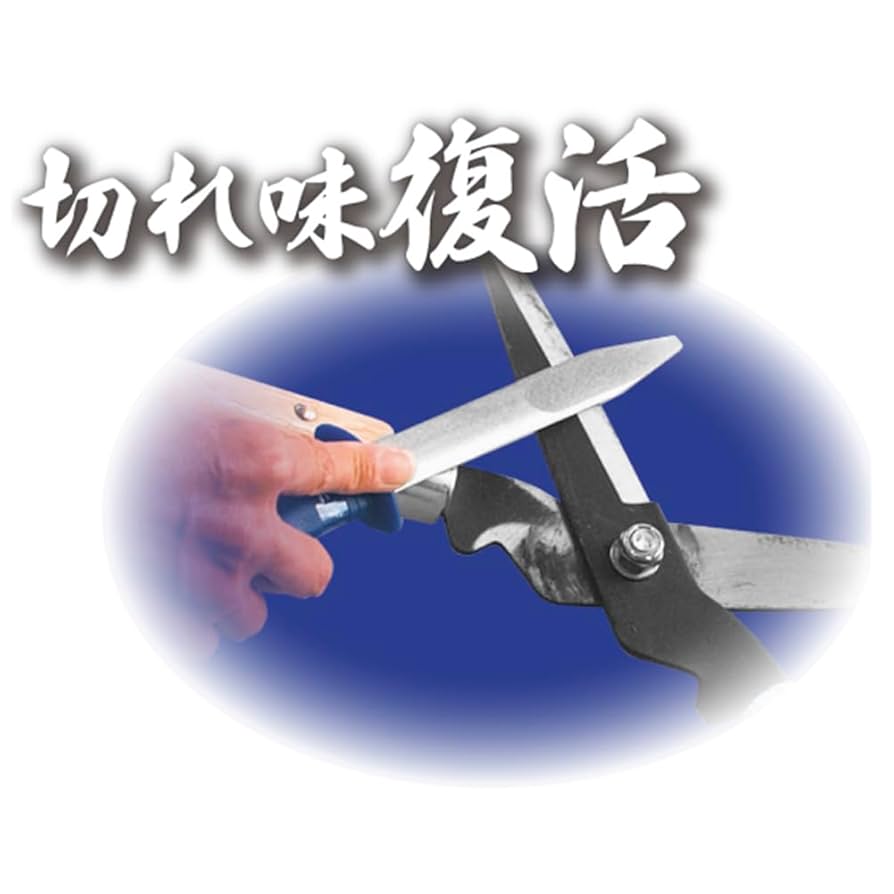 Amazon.com: Takashiba Gimune Ryuhomaru Sharpening Rebirth