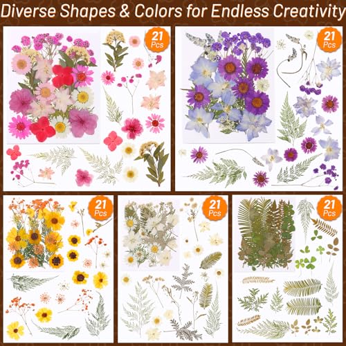 Image of Dried Pressed Flowers for Resin, Real Pressed Flowers Dry Leaves Bulk Natural Herbs Kit for Scrapbooking DIY Art Crafts Epoxy Resin Jewelry Mold Candle Soap Making Nails Decor (Natrual Floral Leaves)