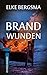 Brandwunden - Ostfrieslandkrimi (Büttner Und Hasenkrug 10) (German Edition)
