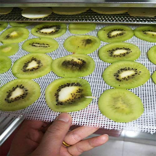 6 PCS Square Silicone Dehydrator Sheets Non-stick Fruit Dehydrator Mats, Reusable Steamer Mat Mesh Sheet for Fruit Dryer
