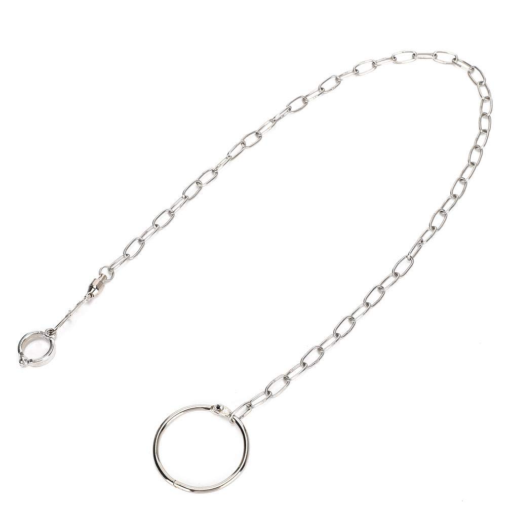 Catene per Piedi per Uccelli Accessori per Anelli per Caviglie in Acciaio Inossidabile Guinzaglio per pappagalli Pappagalli da Esterno Corda per addestramento al Volo Impedisci la Fuga
