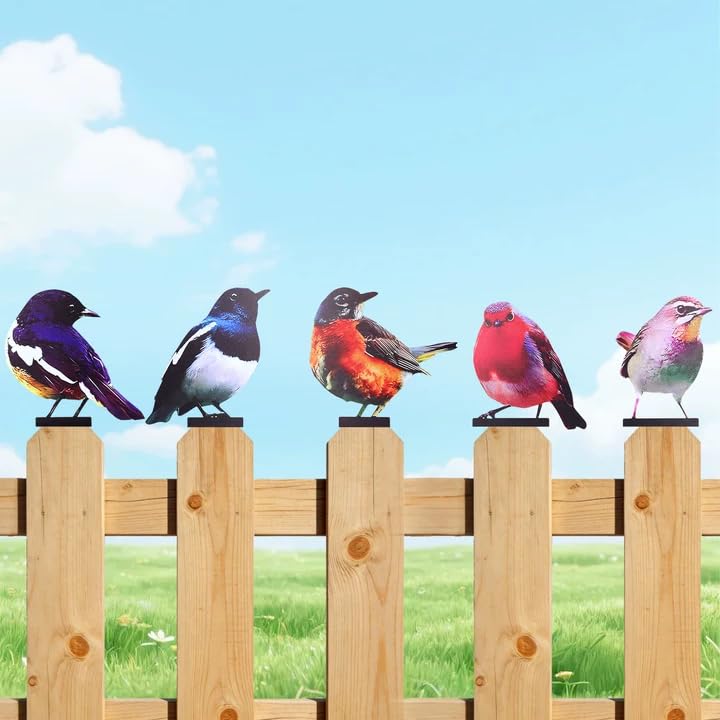 Gnaxyzthor 5 Stück Vogel Baumstecker Vogel Vögel Gartenstecker Deko Bemalte Gartendeko Für Draußen Metall für Gartendekoration Holz Zaunfiguren Terrasse Balkon Bäume Pfähle oder Zäune