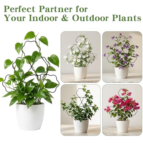 Image of ZOUTOG 9 Pack Trellis for Climbing Plants Outdoor 15 Inch,Rustproof Metal Garden Trellis for Potted Plants,Sturdy Houseplant Support Indoor Outdoor for Ivy Pothos Monstera Hoya Flower Vine (Flower)