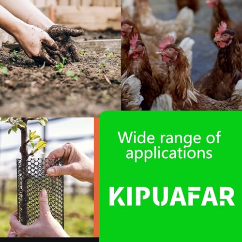 Image of Pet Proof Barrier Net, Black Plastic Chicken Wire Mesh Fencing, Balcony Cat Safety Net & Garden Snake Barrier, Heavy Duty Protection for Chicken Coops, Rabbit Hutches, Dog Kennels (Black, 15.7IN*50)