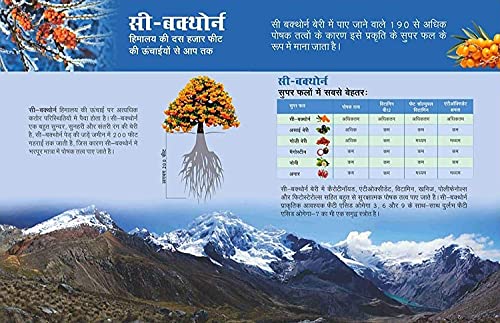 Image of BIOSASH SEA BUCKTHORN JUICE (Pack of 1)