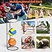 Garage Sports Equipment Organizer - Ball Storage Rack Upgraded Heavy Duty Steel Ball Storage Garage Sports Organizer