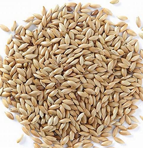 Canary Seeds 900gm JJ Feeds Best Bird Food (B0BT9LDS82) Amazon Price History, Amazon Price Tracker