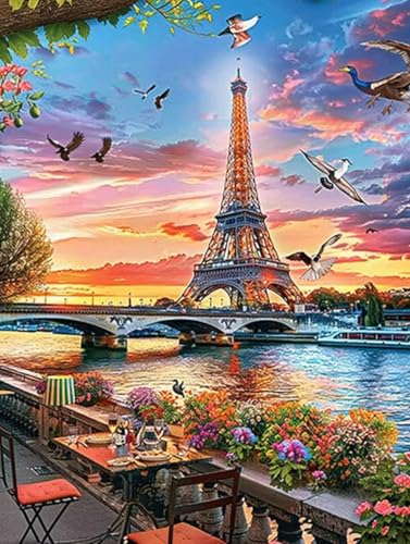 Peinture Diamant Adulte Contre le Stress : Grand Kit Broderie 50x65 cm Paysage