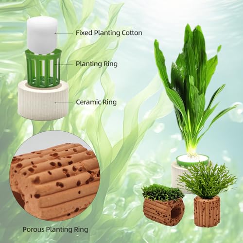 Image of 16 Pack Aquarium Plant Weights, Aquatic Plants Fixed Ring Set, Anti-Floating Ceramic Aquarium Plant Rings, Aquarium Landscape Decoration Fish Tank Accessories 1.8 x 1.3 Inch
