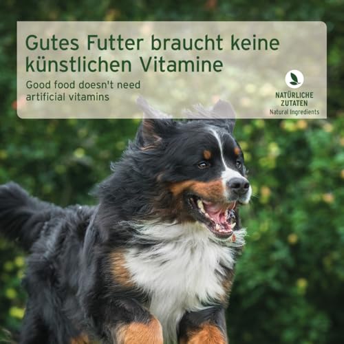 AniForte Hundefutter Nass FarmsLamb 6 x 800g – Nassfutter für Hunde, Frisches Lamm mit Gemüse & Früchten, hoher Fleischanteil, Natürliches Hundenassfutter glutenfrei
