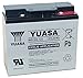 Produktbild Yuasa - Akku AGM YUASA REC22-12I 12V 22Ah M5-F