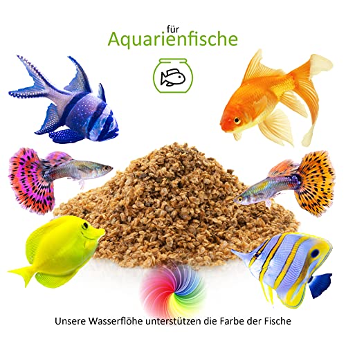 UGF - Premium Daphnia Wasserflöhe, 500 ml (80 g) Eimer, Getrocknet Fischfutter Aquarium, Aquarium Futter, Snacks für Zierfische – Bild 4