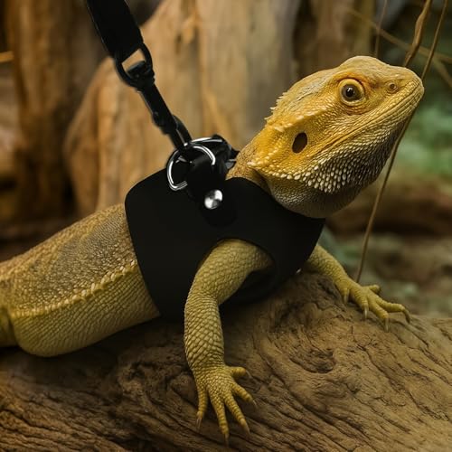 Image of 3PCS Bearded Dragon Harness and Leash, 3 Size Adjustable Squirrel Harness and Leash for Reptile Lizard, Amphibians, Small Animal Walking Vest with Traction Rope (S, M, L)
