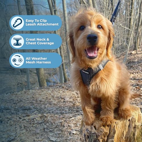 Image of Voyager Step-in Air All Weather Mesh Harness and Reflective Dog 5 ft Leash Combo with Neoprene Handle, for Small, Medium and Large Breed Puppies by Best Pet Supplies - Gray (2-Tone), XS